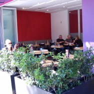 Loteria Grill - Hollywood (Outside eating area)