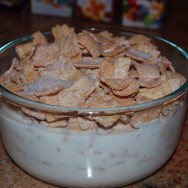 Frosted Toast Crunch