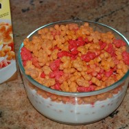 Cinnamon Jacks