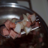 Turkey Pastrami & Onions
