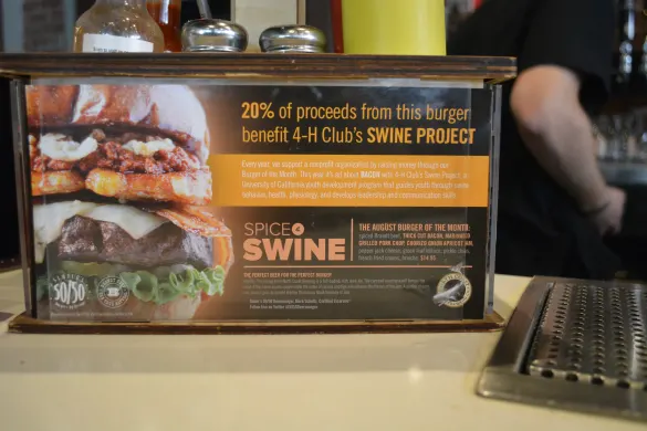 Spice & Swine at Slater's 50/50