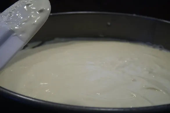 Cheesecake in Springform Pan Cheesecake in Springform Pan