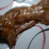 Guinea pig