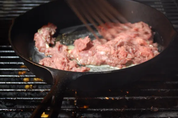 Lion Meat