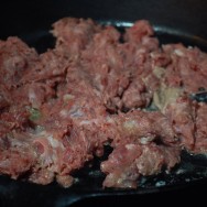 Lion Meat