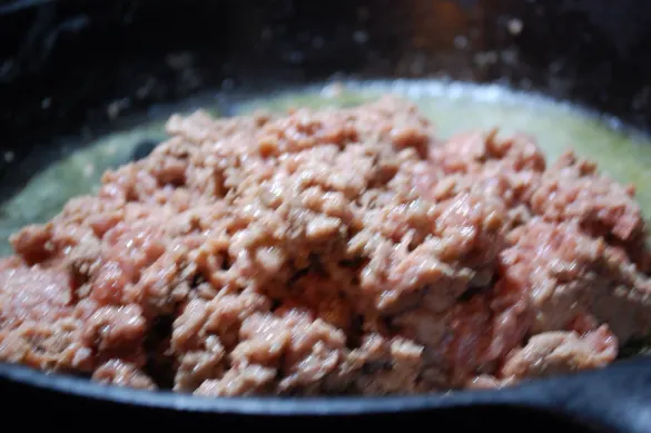 Lion Meat